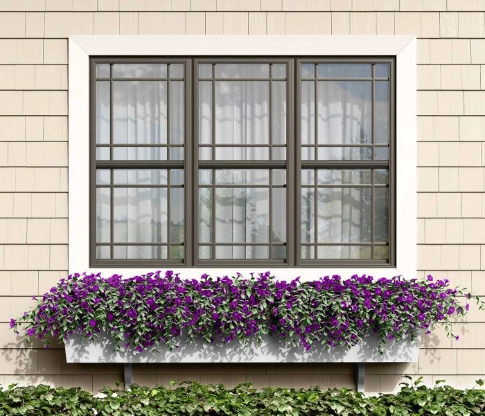 Series 3900 Double Hung Windows in Bronze with Prairie Contoured Grid